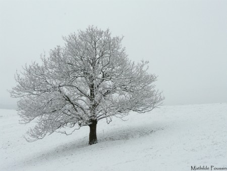 Par un matin enneigé...